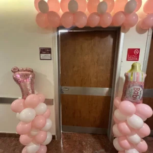 1 Balloon Stand + Over-the-Door Balloon (Queens Royal Hospital Gift)